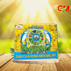 dam-carong-bien-bac-my