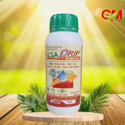 ilsa-drip-forte
