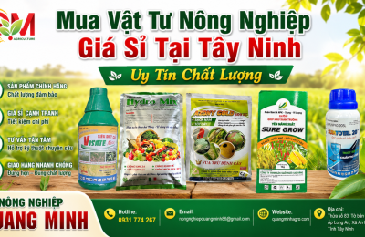 mua-vat-tu-nong-nghiep-gia-si-tai-tay-ninh