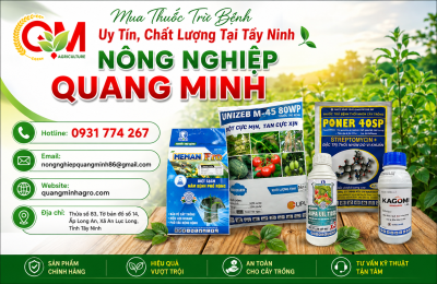 mua-thuoc-tru-benh-uy-tin-chat-luong-tai-tay-ninh