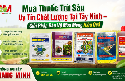 mua-thuoc-tru-sau-uy-tin-chat-luong-tai-tay-ninh