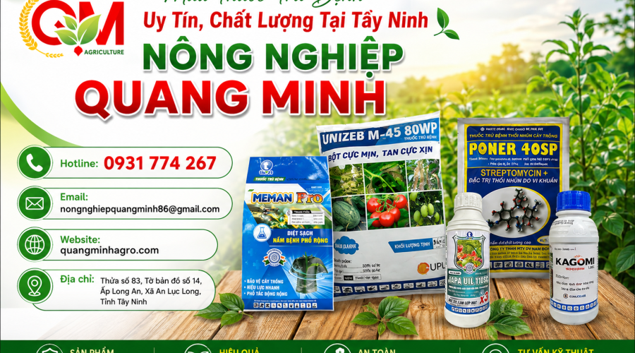 Mua Thuốc Trừ Bệnh Uy Tín, Chất Lượng Tại Tây Ninh